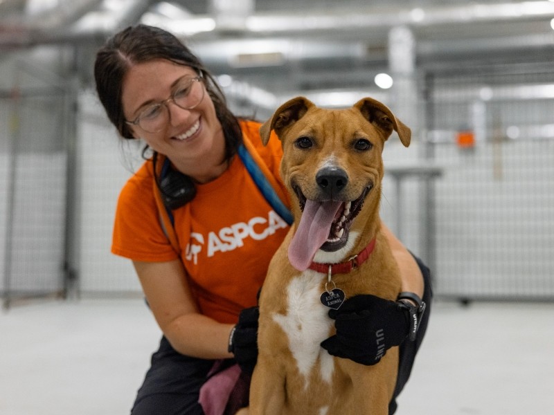 Cruelty Recovery Center