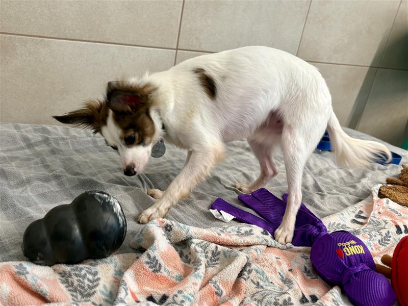 Behavioral Rehabilitation Center