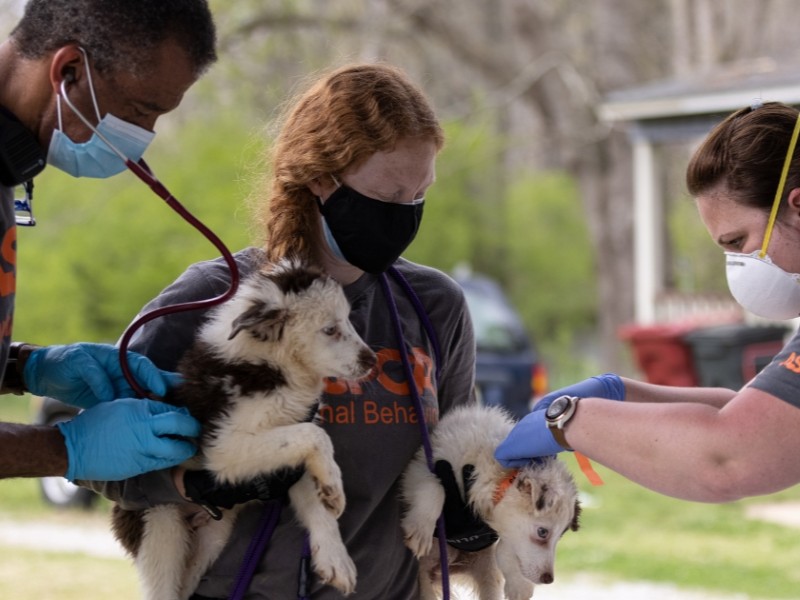 National Field Response